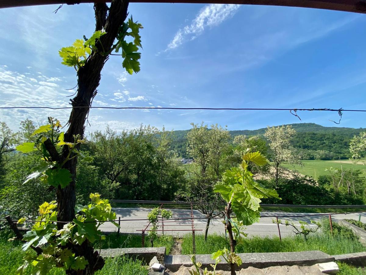 Apartman Verona Buzet Exterior foto
