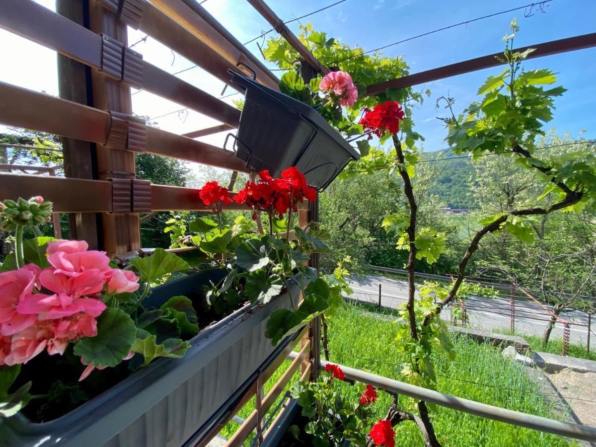 Apartman Verona Buzet Exterior foto